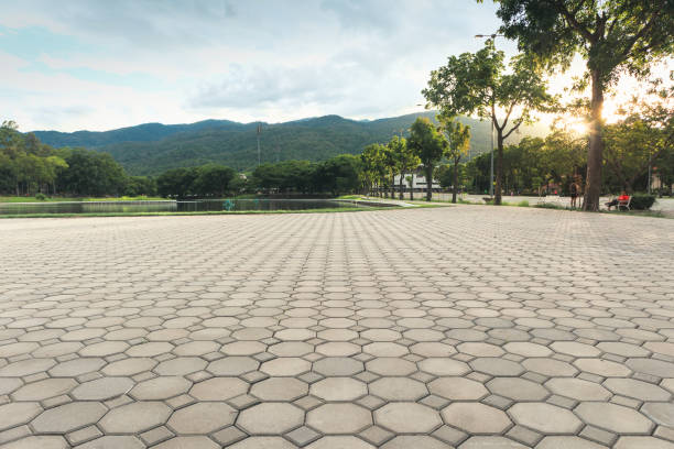 Best Professional Driveway Pavers  in Litchfield Beach, SC